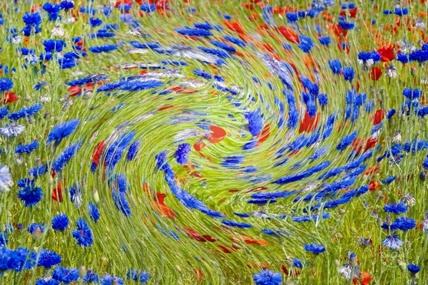 Background Images
